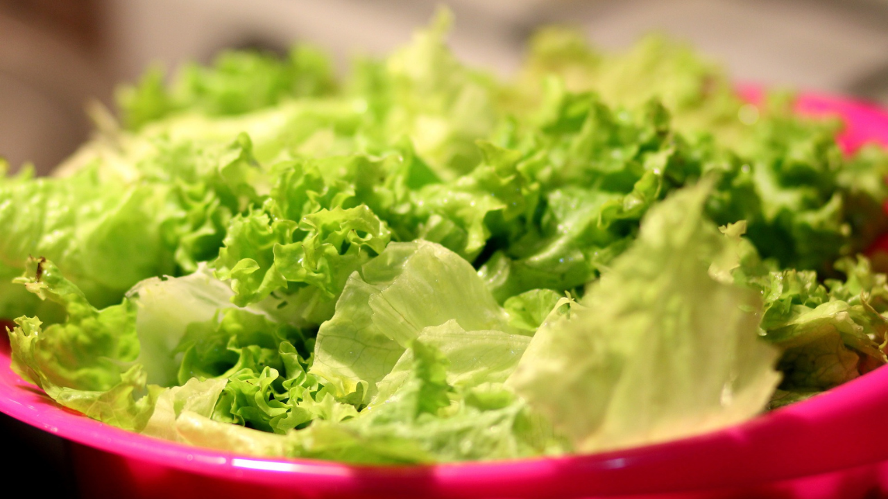 lettuce-blog-img2.png